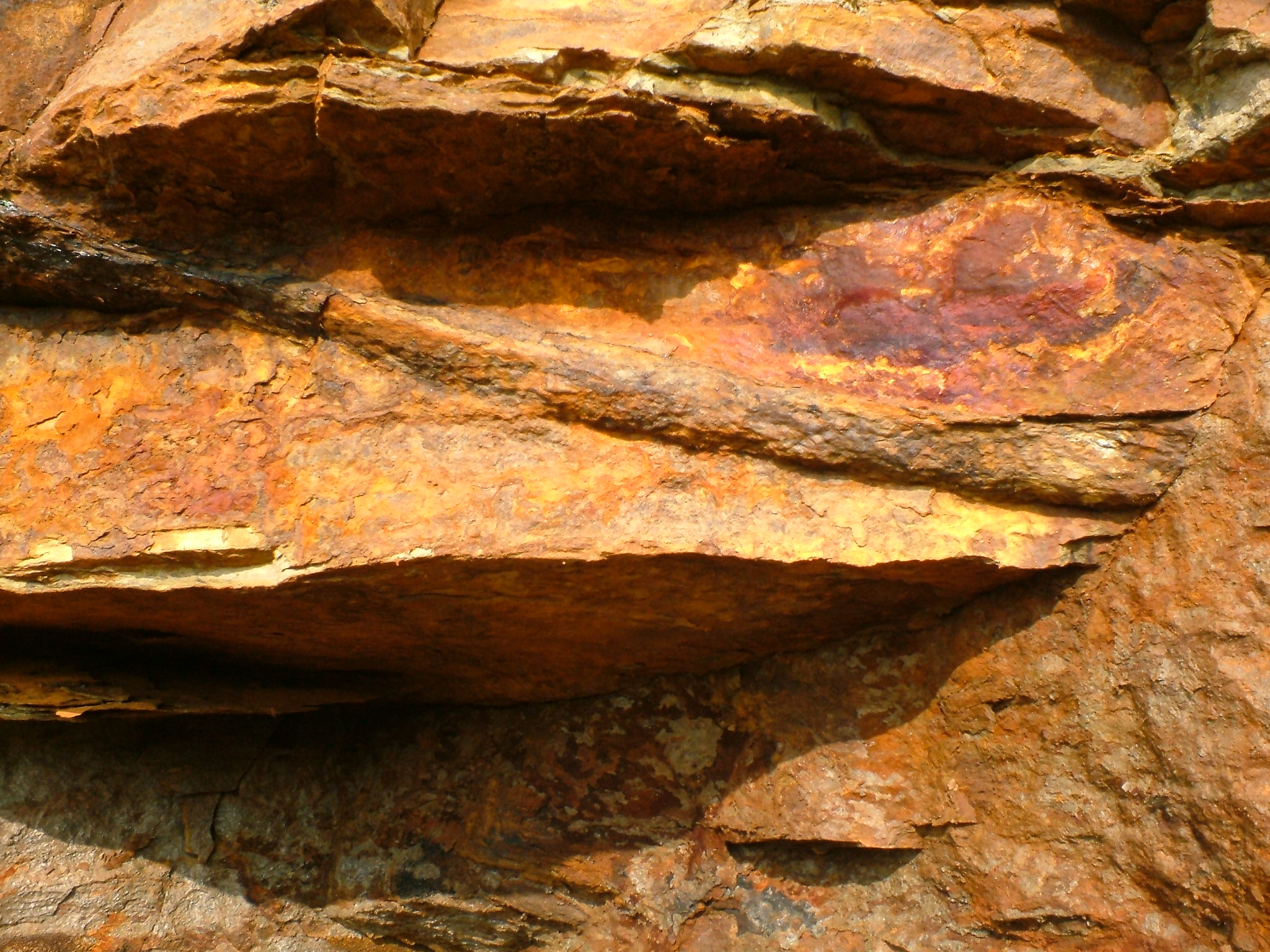 york stone fossil